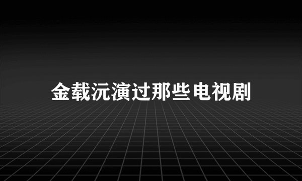 金载沅演过那些电视剧