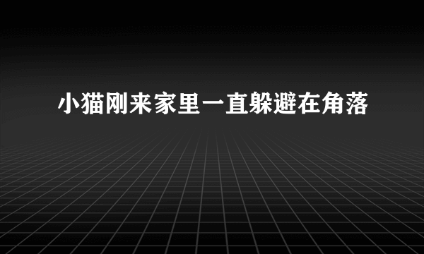 小猫刚来家里一直躲避在角落