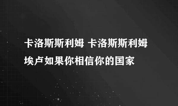 卡洛斯斯利姆 卡洛斯斯利姆埃卢如果你相信你的国家