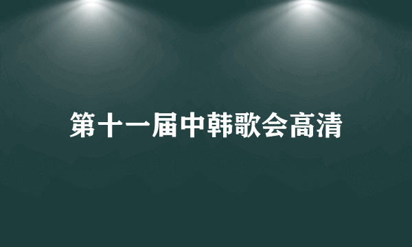 第十一届中韩歌会高清