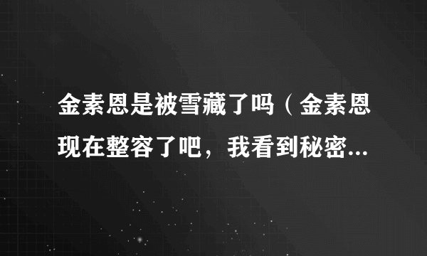 金素恩是被雪藏了吗（金素恩现在整容了吧，我看到秘密天使里的她的鼻子跟之前比变了好多啊，是不是整容了）介绍_飞外网