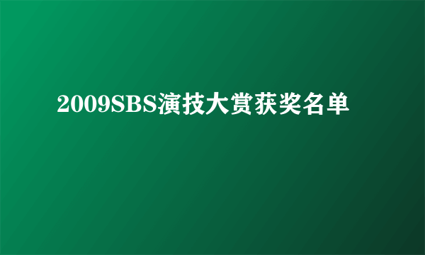 2009SBS演技大赏获奖名单