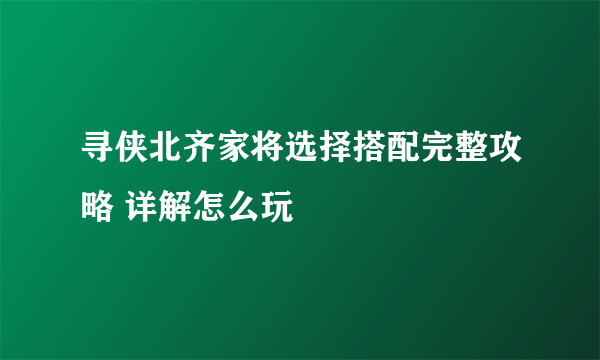 寻侠北齐家将选择搭配完整攻略 详解怎么玩