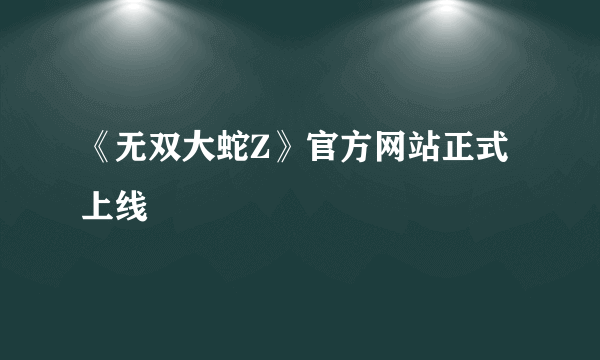 《无双大蛇Z》官方网站正式上线