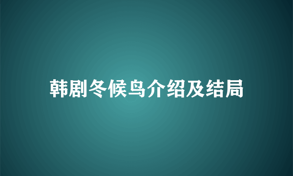 韩剧冬候鸟介绍及结局