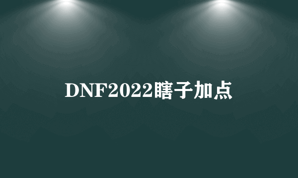 DNF2022瞎子加点