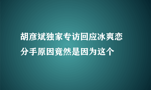 胡彦斌独家专访回应冰爽恋   分手原因竟然是因为这个