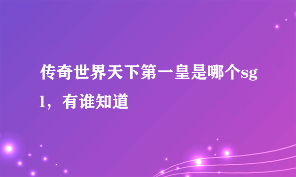 传奇世界天下第一皇是哪个sgl，有谁知道