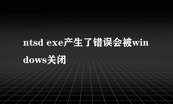 ntsd exe产生了错误会被windows关闭