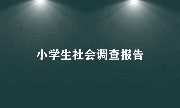 小学生社会调查报告