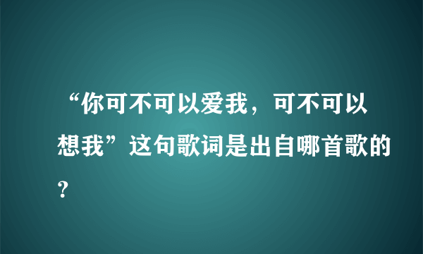 “你可不可以爱我，可不可以想我”这句歌词是出自哪首歌的？