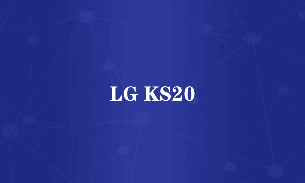 LG KS20