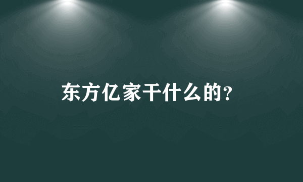 东方亿家干什么的？