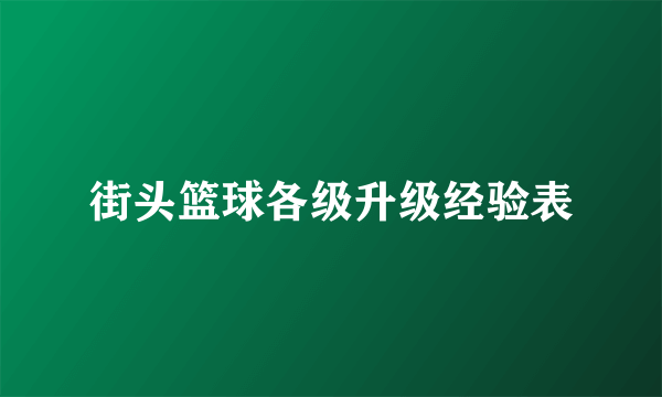 街头篮球各级升级经验表