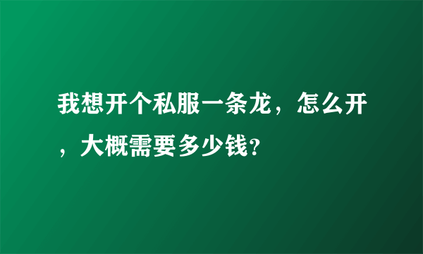 我想开个私服一条龙，怎么开，大概需要多少钱？