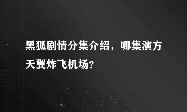 黑狐剧情分集介绍，哪集演方天翼炸飞机场？