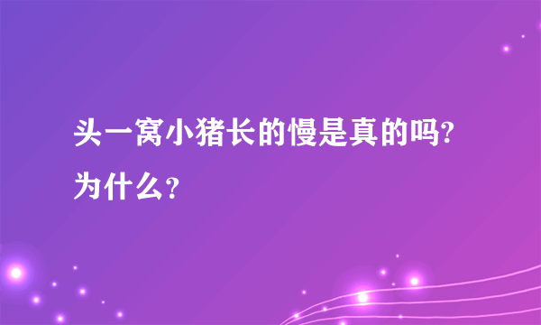 头一窝小猪长的慢是真的吗?为什么？