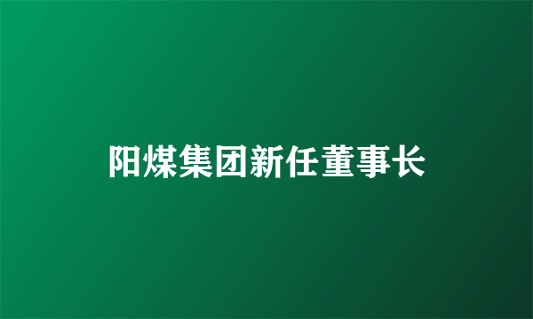 阳煤集团新任董事长