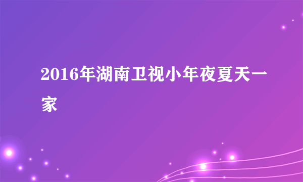 2016年湖南卫视小年夜夏天一家