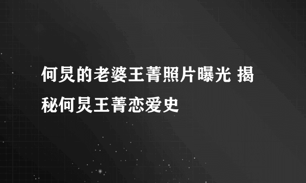 何炅的老婆王菁照片曝光 揭秘何炅王菁恋爱史