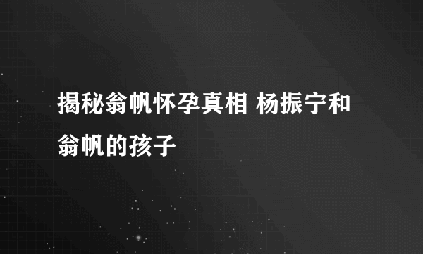 揭秘翁帆怀孕真相 杨振宁和翁帆的孩子 