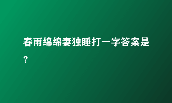 春雨绵绵妻独睡打一字答案是？