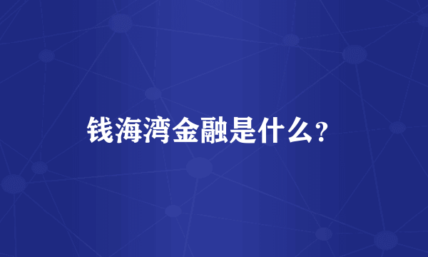 钱海湾金融是什么？