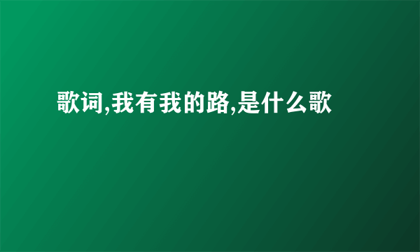 歌词,我有我的路,是什么歌