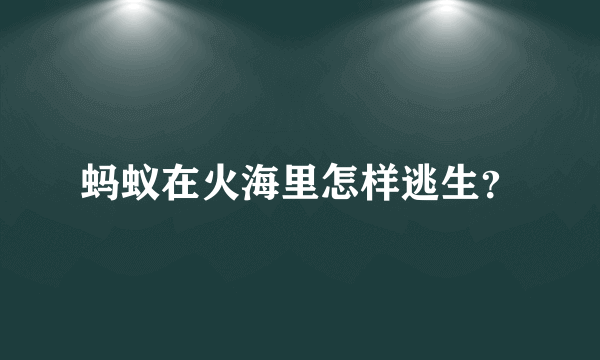 蚂蚁在火海里怎样逃生？