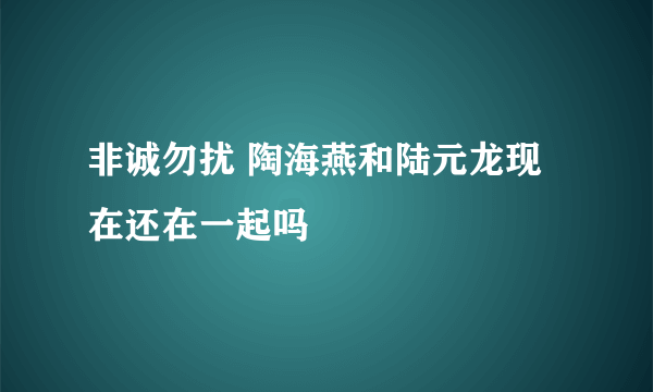 非诚勿扰 陶海燕和陆元龙现在还在一起吗