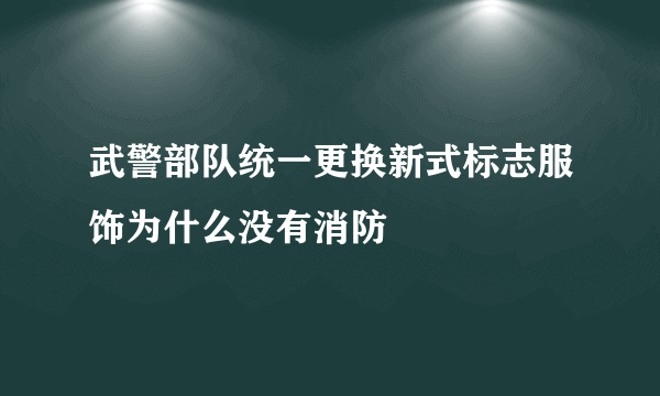 武警部队统一更换新式标志服饰为什么没有消防