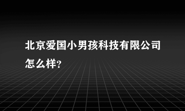 北京爱国小男孩科技有限公司怎么样？