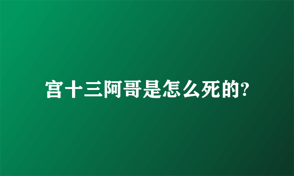 宫十三阿哥是怎么死的?