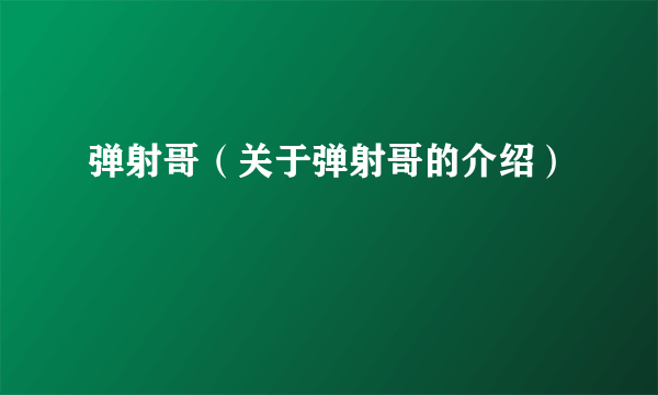 弹射哥（关于弹射哥的介绍）