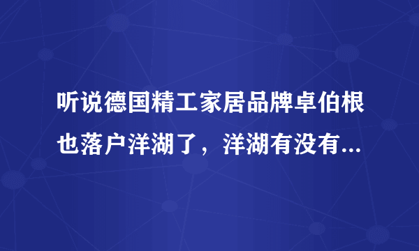 听说德国精工家居品牌卓伯根也落户洋湖了，洋湖有没有什么高端一点的楼盘么？