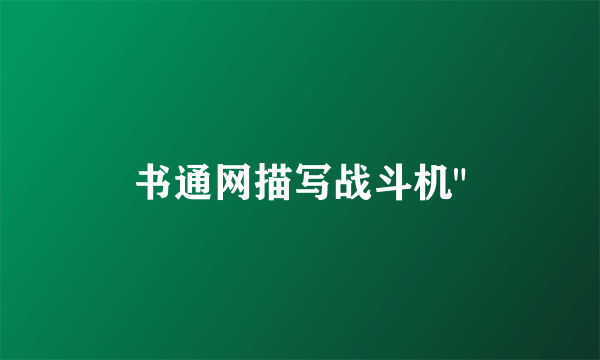 书通网描写战斗机