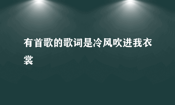 有首歌的歌词是冷风吹进我衣裳