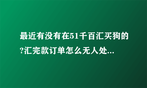 最近有没有在51千百汇买狗的?汇完款订单怎么无人处理呢?是不是网站停了？