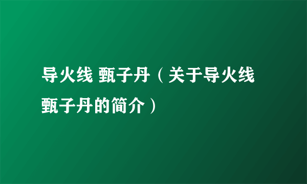 导火线 甄子丹（关于导火线 甄子丹的简介）