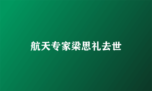 航天专家梁思礼去世