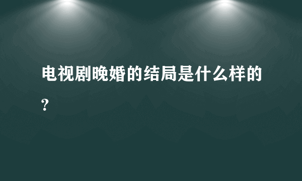 电视剧晚婚的结局是什么样的？