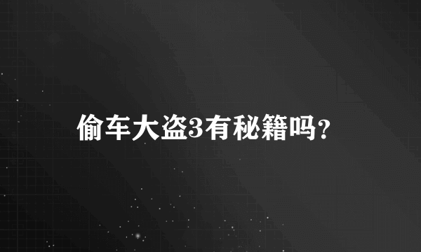 偷车大盗3有秘籍吗？