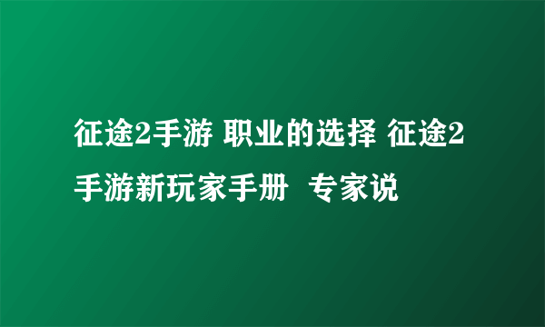 征途2手游 职业的选择 征途2手游新玩家手册  专家说