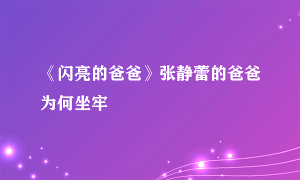 《闪亮的爸爸》张静蕾的爸爸为何坐牢