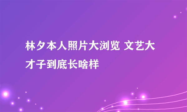 林夕本人照片大浏览 文艺大才子到底长啥样