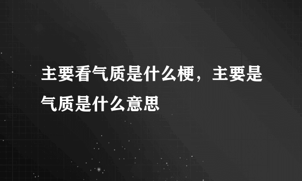 主要看气质是什么梗，主要是气质是什么意思