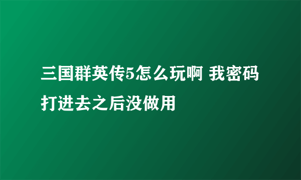 三国群英传5怎么玩啊 我密码打进去之后没做用