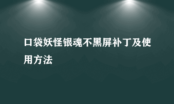 口袋妖怪银魂不黑屏补丁及使用方法