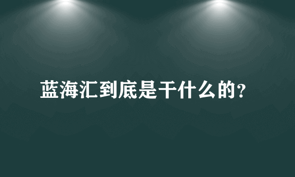 蓝海汇到底是干什么的？