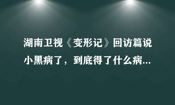 湖南卫视《变形记》回访篇说小黑病了，到底得了什么病？！现在怎么样了？！